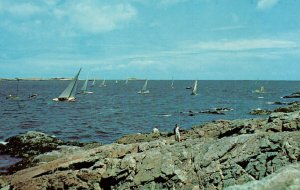 Rsailboat Racing off Marblehead,MA