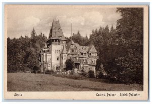 Sinaia Prahova Romania Postcard Pelisor Castle Entrance View c1920's Unposted