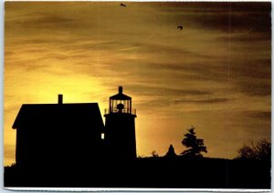 M-86850 The Silhouette of seagulls and lighthouses Maine