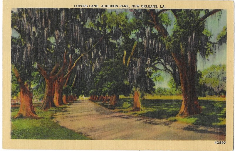 Lovers Lane Audubon Park New Orleans Louisiana