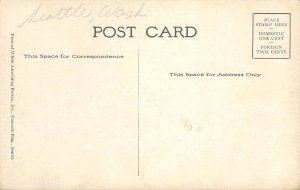 Totem Pole Big Tree Park RAVENNA PARK Seattle, WA c1910s Vintage Postcard