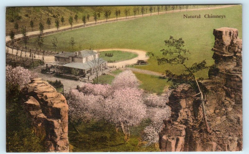 MT. SOLON Virginia VA ~Handcolored NATURAL CHIMNEYS Visitors Lodge 1935 Postcard