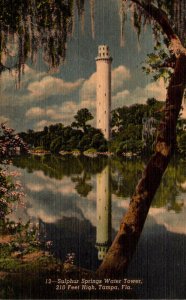 Florida Tampa Sulphur Springs Water Tower