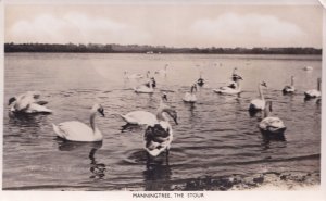 Manningtree The Stour Essex Vintage Real Photo Postcard