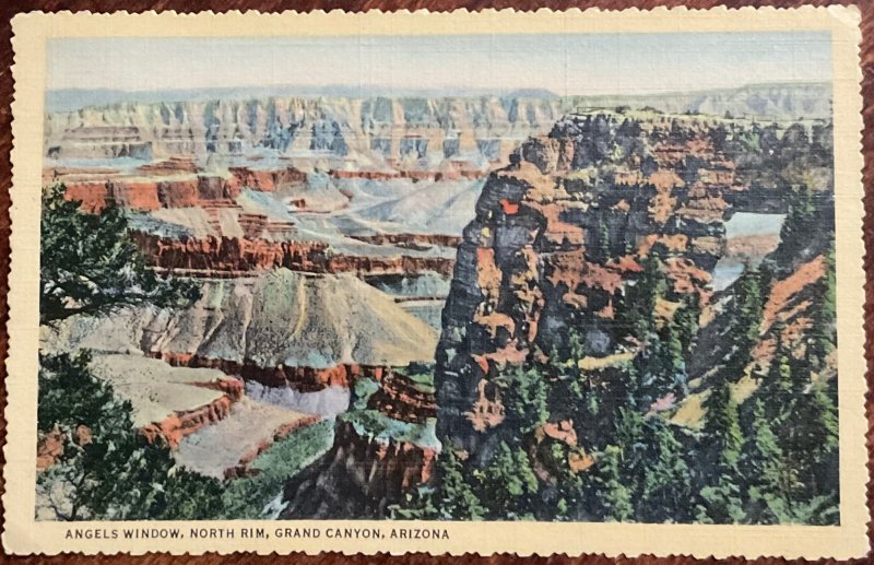Grand Canyon Kaibab Forest Ariz PM 7/28/1937 L37