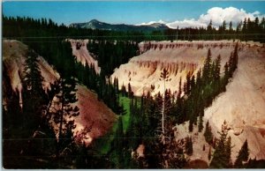 Godfrey Glen & the Colonnades Annie Creek Crater Lake National Park Postcard