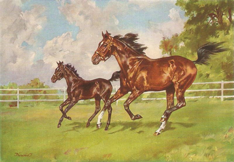 The Joy of the Gallop, by J. Konrad Nice modern Swiss PC. Size