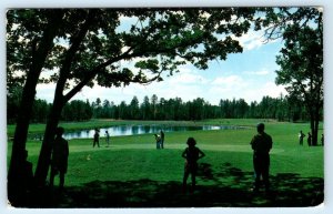 McNARY, Arizona AZ ~ Golf Course WHITE MOUNTAIN COUNTRY CLUB 1950s-60s Postcard