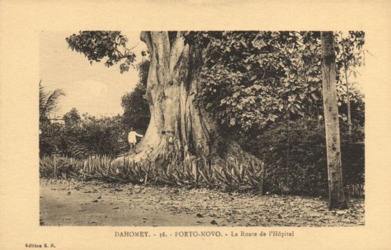 CPA Dahomey Afrique - Porto-Novo - Le Route de l'Hopital (86800)