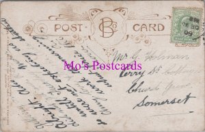 Genealogy Postcard - Holman, Perry Street Cottages, Chard, Somerset   GL2323