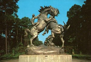 The Fighting Stallions,Brookgreen Gardens,Murrells Inlet,SC