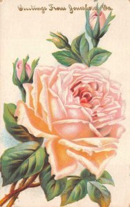 GREETINGS FROM JONESBORO GEORGIA FLOWER ROSE POSTCARD 1908