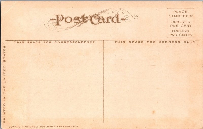 Peach Drying California Postcard Edward H Mitchell San Francisco c1915