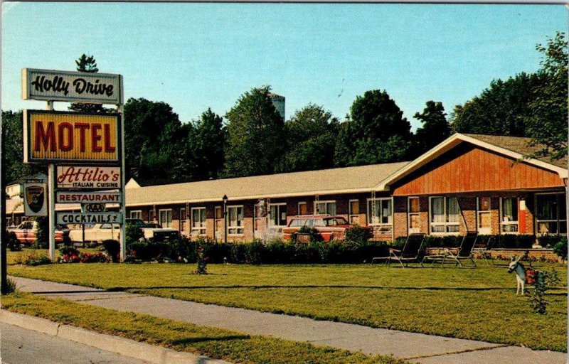 Fulton, NY New York  HOLLY DRIVE MOTEL~Steve Tetro ROADSIDE~Route 3~49  Postcard