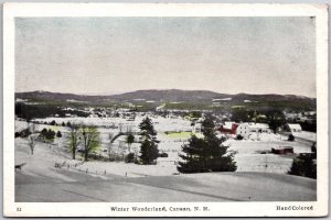 Winter Wonderland Canaan New Hampshire NH Snow-Capped Grounds Postcard