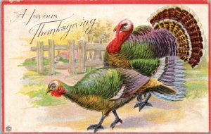 Postcard - A Joyous Thanksgiving - multicolor turkeys