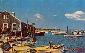 Chatham Fish Pier Massachusetts  