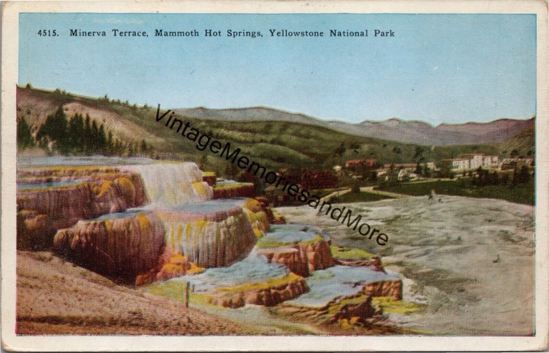 Minerva Terrace Mammoth Hot Springs Yellowstone National Park Postcard PC337