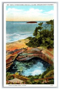 Devils Punch Bowl and Gull Island Oregon OR UNP WB Postcard Y9