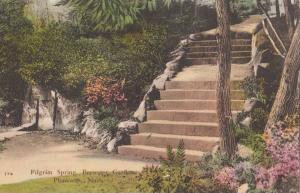 LP97  Plymouth, Massachusetts, MA, postcard, Pilgrim Spring,