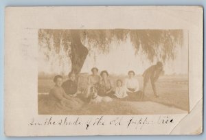 Glendale AZ Postcard RPPC Photo Family In The Shade Of The Old Pepper Tree 1911