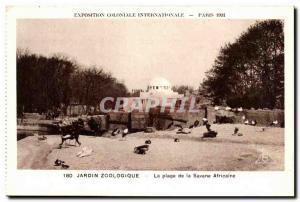Postcard Old Expostion Coloniale Internationale Paris Zoo Beach from Savannah...