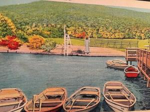 Postcard High View of High Peak from  Silver Lake, Catskill Mountains, NY.   W8