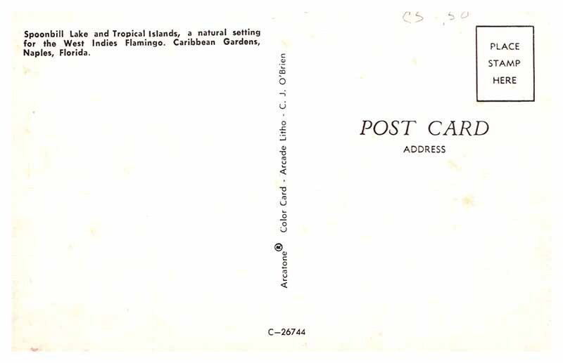 Postcard GARDEN SCENE Naples Florida FL AT3841