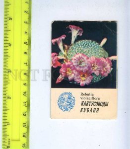 259135 USSR Advertising of society Cactus Kuban Pocket CALENDAR 1985 year