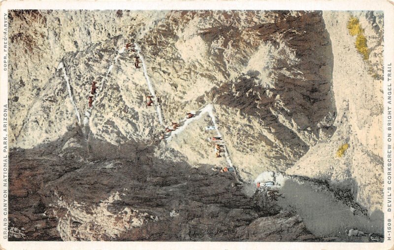 H20/ Fred Harvey Vintage Postcard c1920 Grand Canyon Bright Angel Trail 3