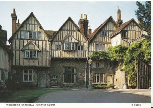 Hampshire Postcard - Winchester Cathedral - Cheyney Court - Ref ZZ4926