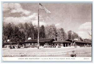 c1940 Lodge Restaurant Exterior Illinois White Pines Forest State Park Postcard