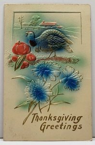 Thanksgiving Greeting Airbrushed Turkey Apples & Flowers Embossed Postcard G12