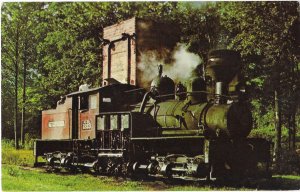 Graham County Railroad #1923 Train Bear Creek Junction North Carolina