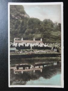 Vintage PC - Symond's Yat, Alpine Cottage and TEA GARDENS