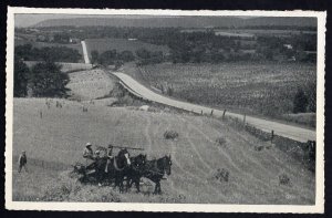 Pennsylvania Harvest Time Horses are still used for field work - White Border