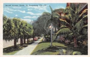 F7/ St Petersburg Florida c1915 Postcard Second Avenue Homes