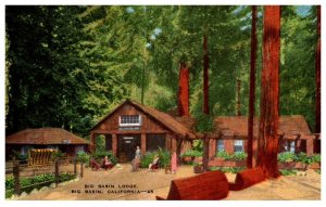 California Big Basin Lodge