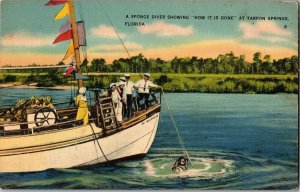 Sponge Diver in Water Showing How It's Done, Tarpon Springs Vintage Postcard H19