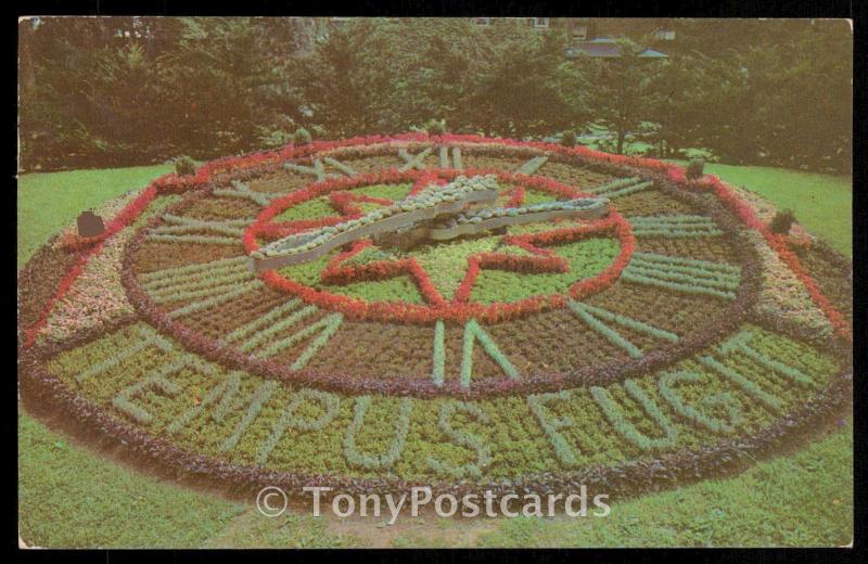 Beautiful Floral Clock Westmount Park