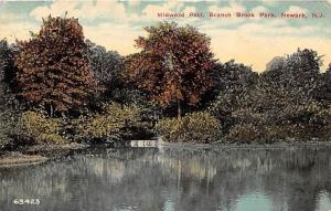 NEWARK NJ MIDWOOD POOL AT BRANCH BROOK PARK POSTCARD c1912