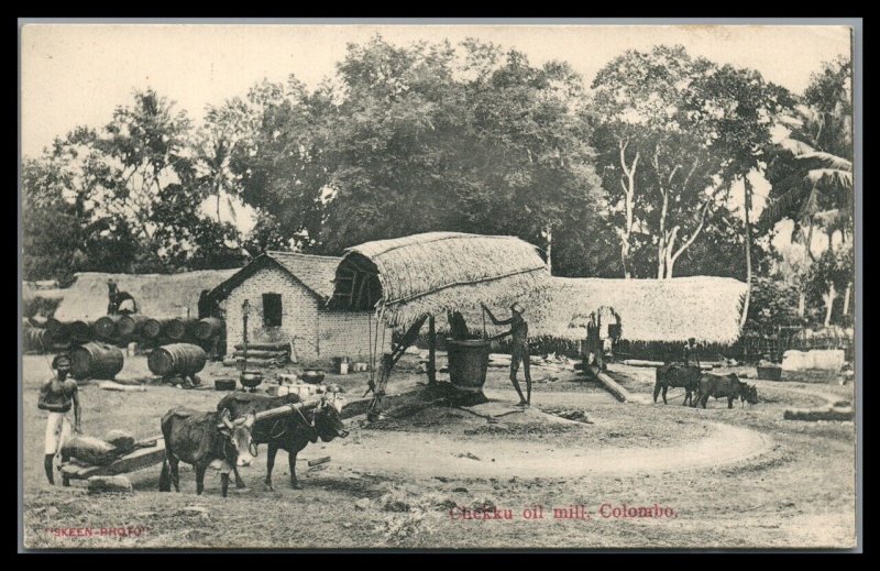 Ceylon Vintage Unused Postcard Chekku Oil  Mill Natives