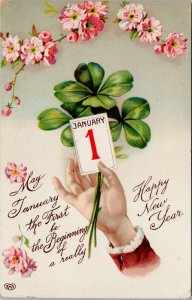 Happy New Year January 1 Flowers c1913 RPO Postcard F42