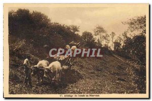 Postcard Old horse hitch to hitch Morvan bufs