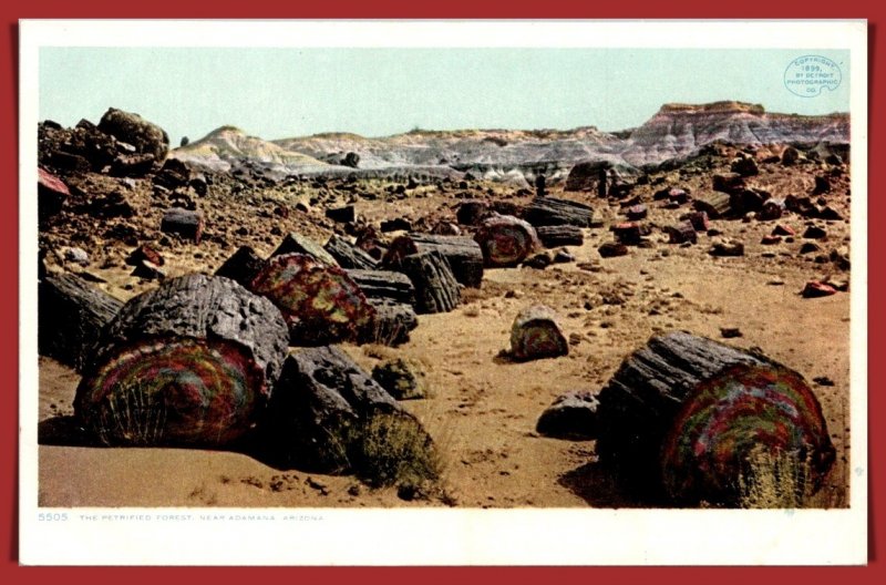 Arizona, Adamana - Petrified Forest - [AZ-373]