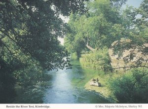 Beside The River Test Kimbridge Beautiful Hampshire Postcard