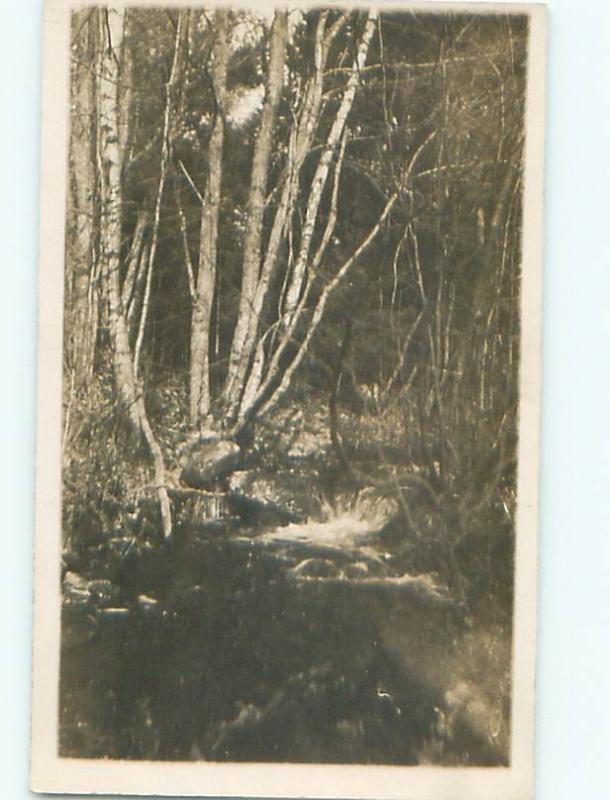 Old rppc NATURE SCENE Great Postcard AB0798