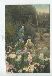 433786 Beautiful Japanese geisha girls flower meadow Vintage postcard