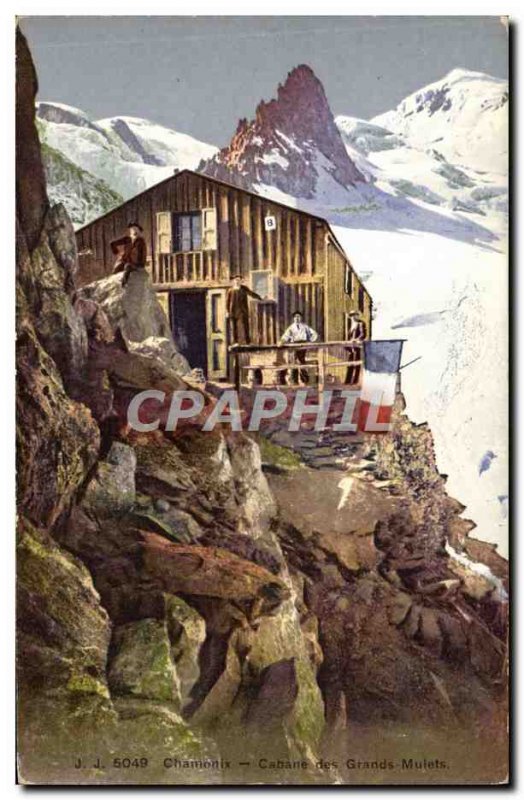 Old Postcard Mountaineering Chamonix Great Chalet Mules