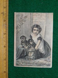 1870s-80s Union Package Dye Co. Girl Puppies Washtub Trade Card F17